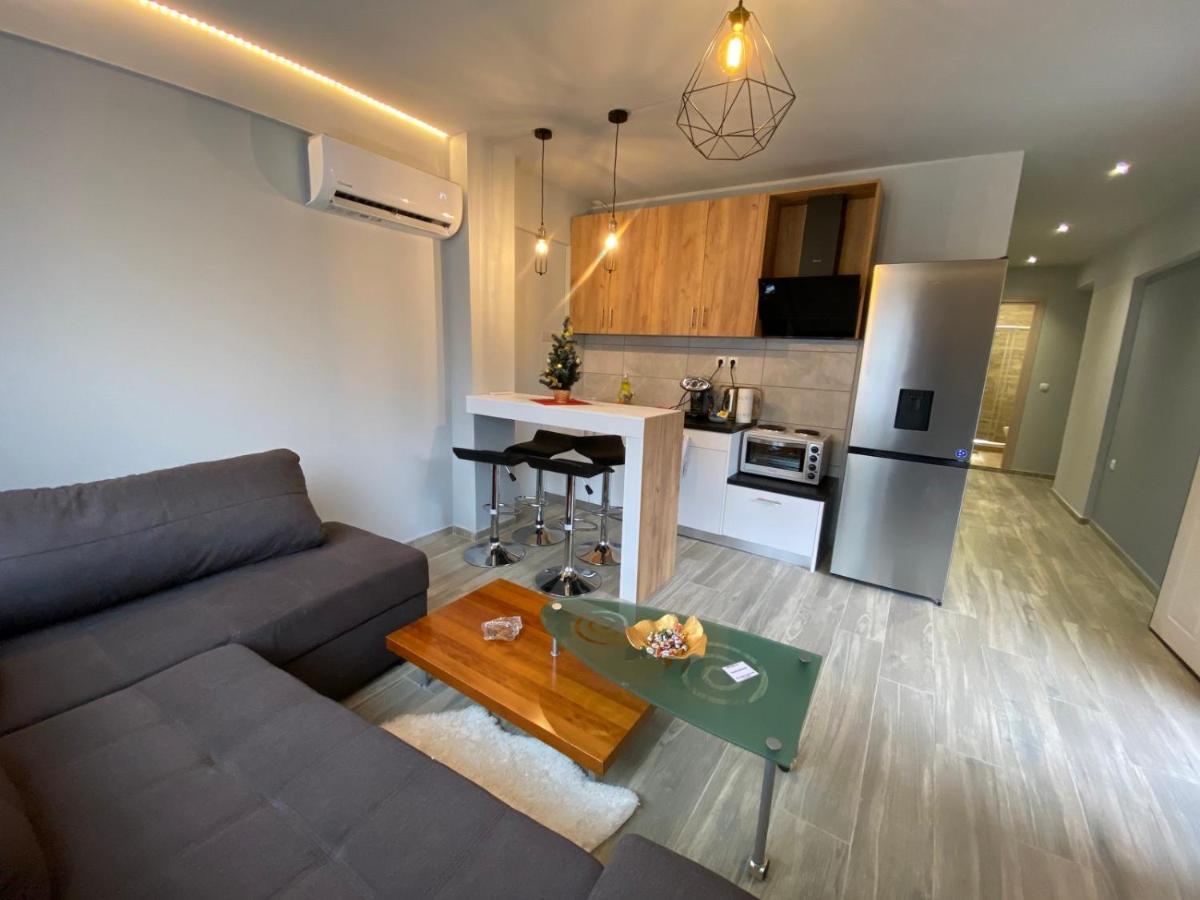 Alexandras Cozy Apartment Ioánina Exterior foto